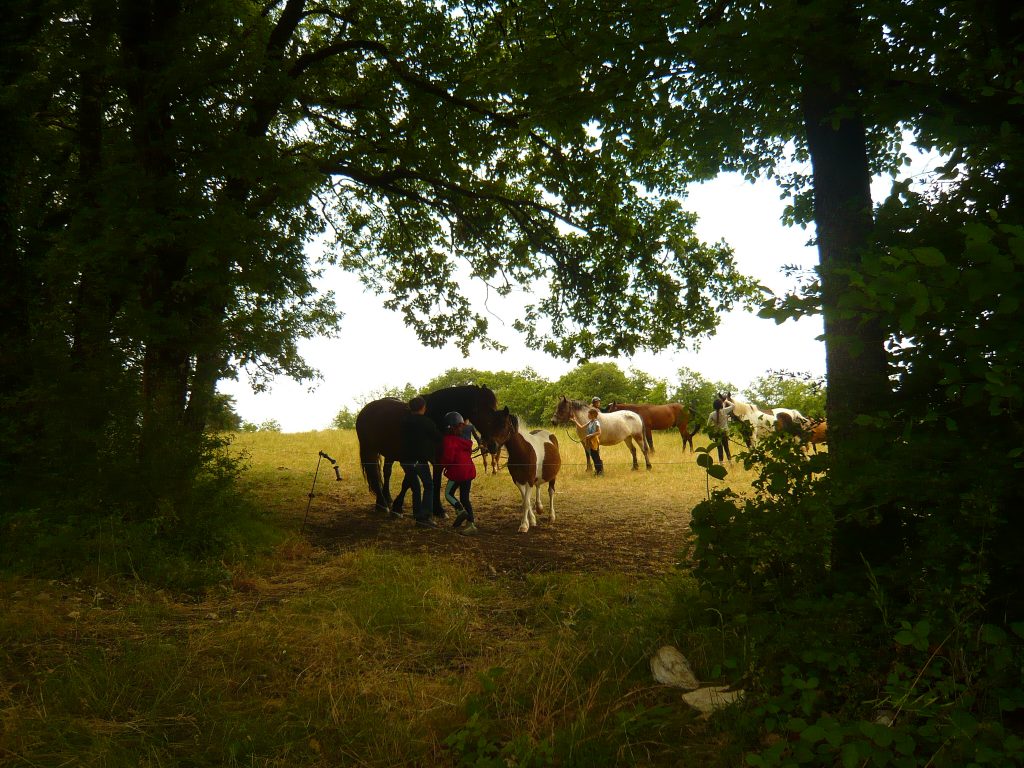 enfants sortant leurs poneys du pré